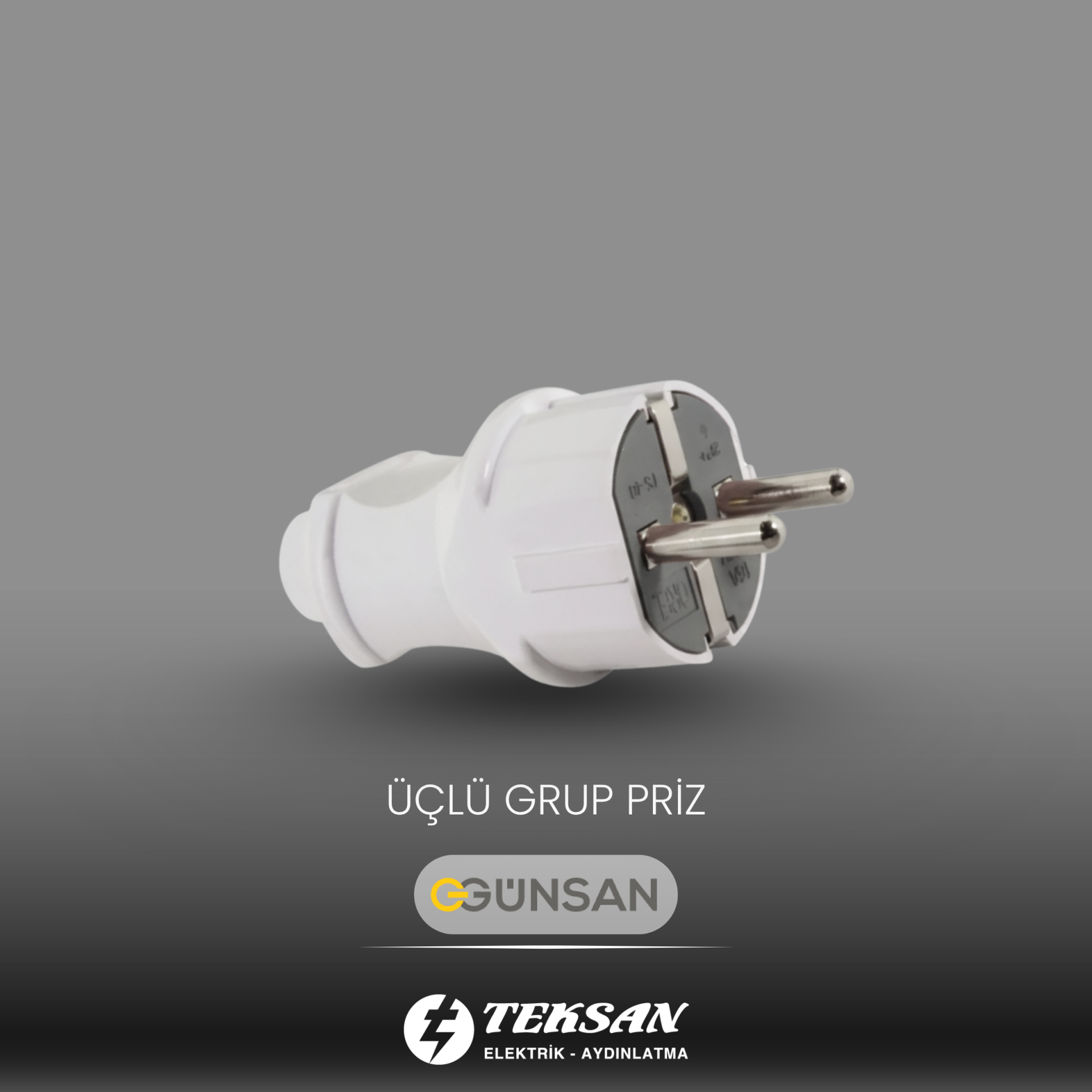 GÜNSAN Topraklı Erkek Fiş